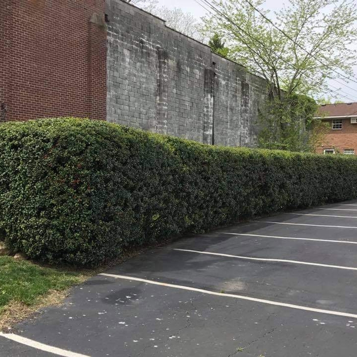 Lawncare