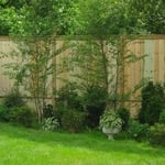 Fences