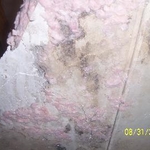 back of walls