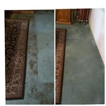 Pet Stains