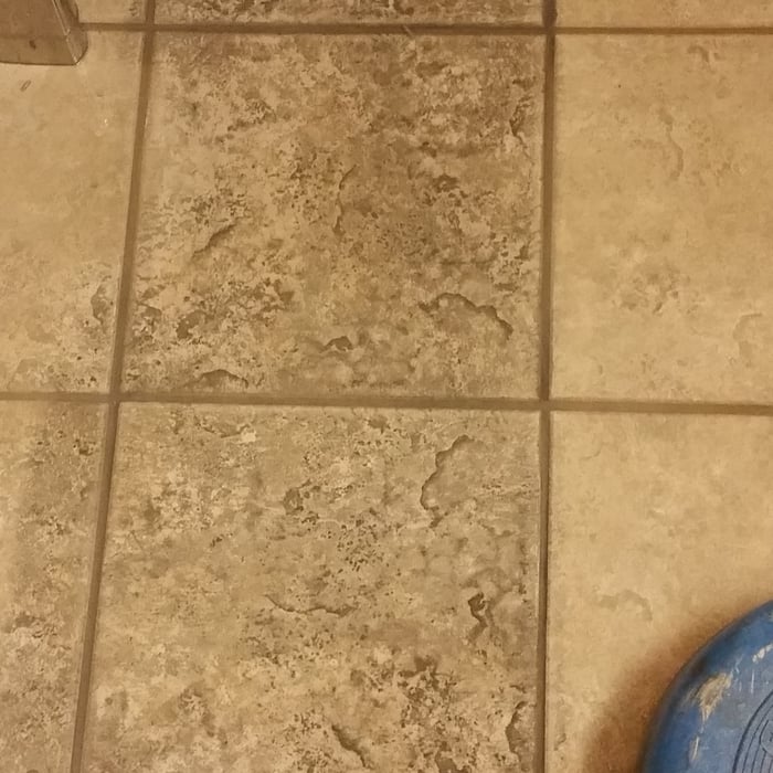 Tile Cleaning