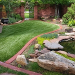 Back yard