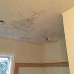 Before Mold Removal