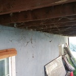 Eaves