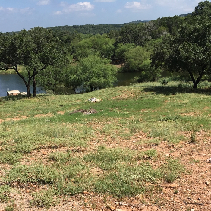 Healthy grass regrowth