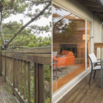 Patio Before / After