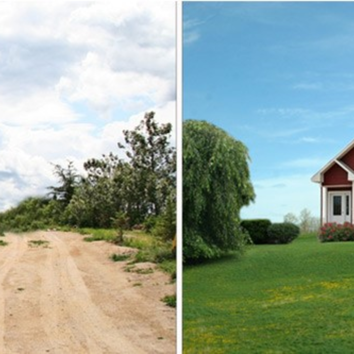 Yard Before & After