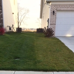 Lawn Doctor Customer 2