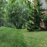 Lawn Doctor Customer