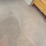 Deep Clean