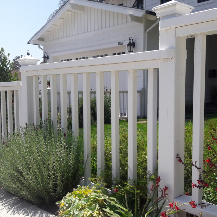 Savia, calandrinia, redwood fence detail