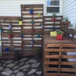 Potters bench and plant hanging wall