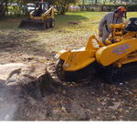 Maplewood Tree Stump Grinding project