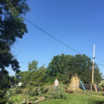 Southtown's Tree & Landscaping