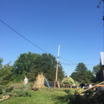 Southtown's Tree & Landscaping