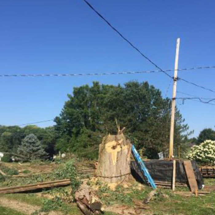 Southtown's Tree & Landscaping