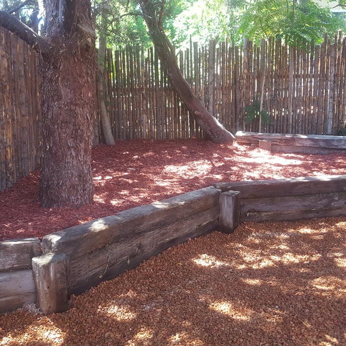 Back Yard Landscaping and Coyote