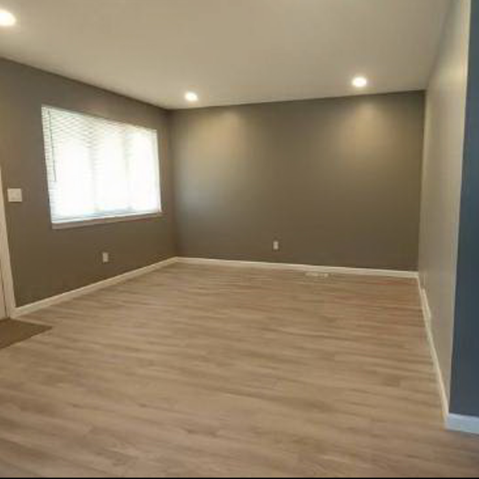New Flooring and Painting