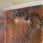 More layers of Bona being removed