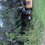 Clearing lot