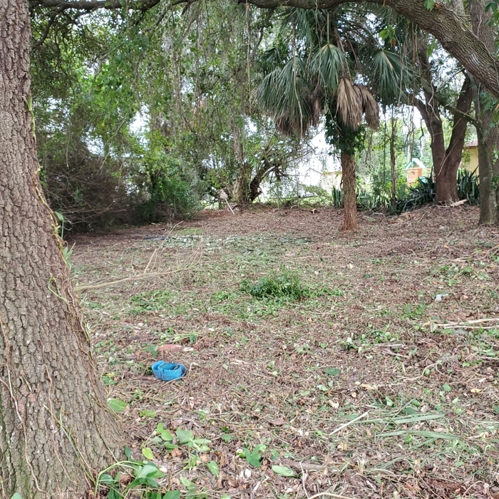 Clearing lot