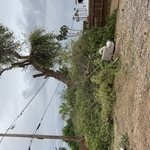 Patios