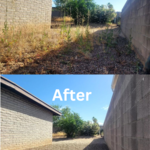 Weed and Grass Removal