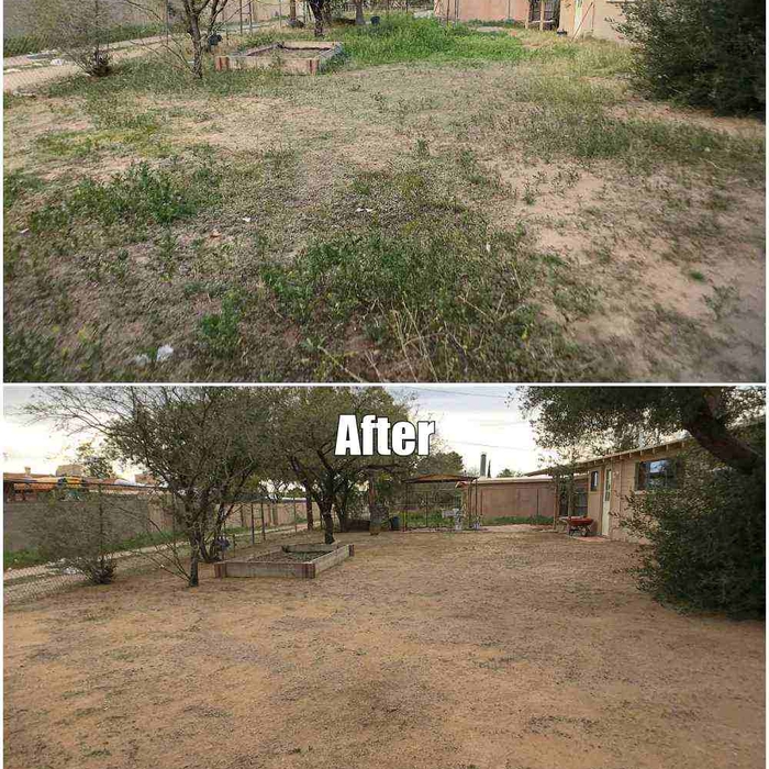 Weed and Grass Removal