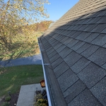 Gutter Cleaning