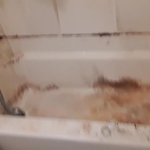 Bathtub