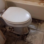Toilet Bowl