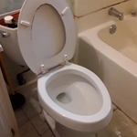 Toilet Bowl