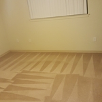 Carpet cleaning