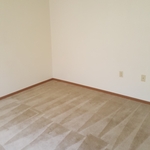 Carpet cleaning