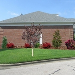 Landscape Design