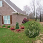Landscape Design