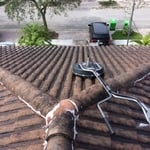 Roof Power wash