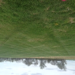 Vacant Field