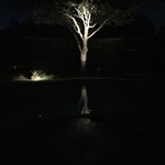 Landscape Lighting