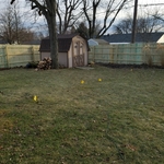 privacy fence