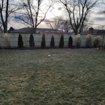 privacy fence