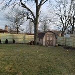 privacy fence
