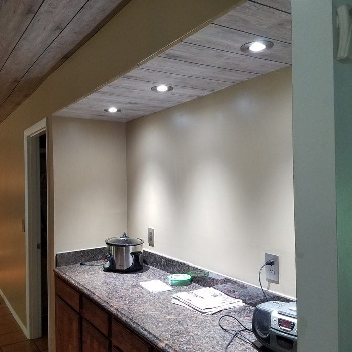 Shiplap celing and LED lighting