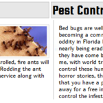 Ant Facts