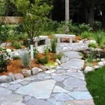 Tranquil Setting and goldfish...