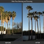 before and after