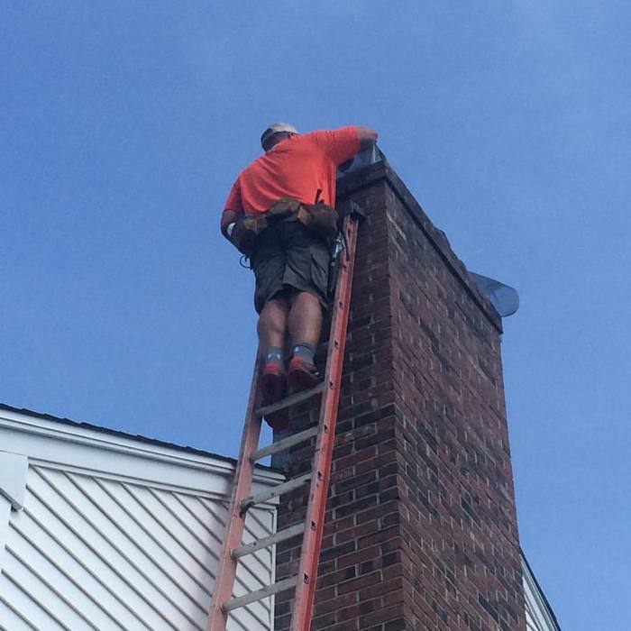 removing Bats from a Chimney