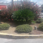 Decorative curbing.