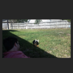 Fence
