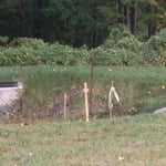 Basin